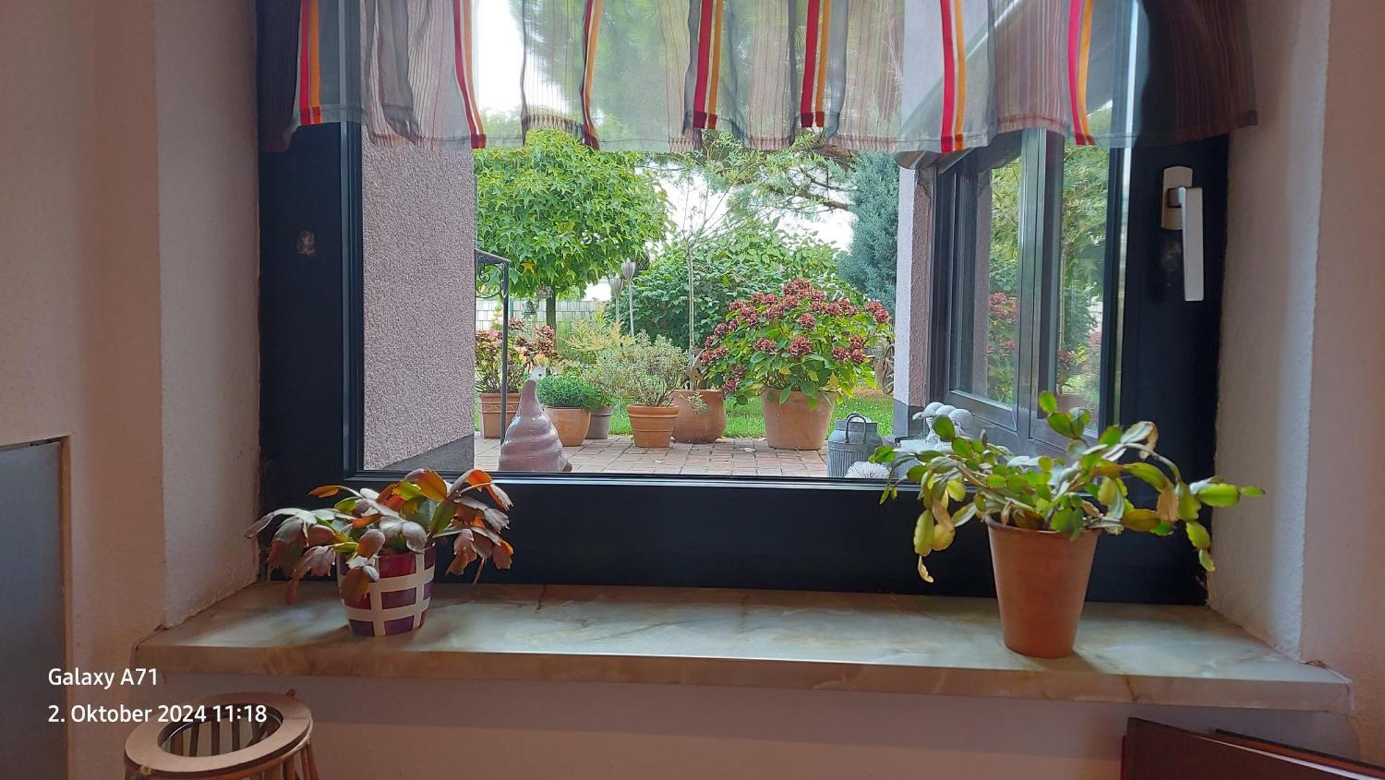 Ferienwohnung Zum Weinberg Grosskarlbach Zewnętrze zdjęcie